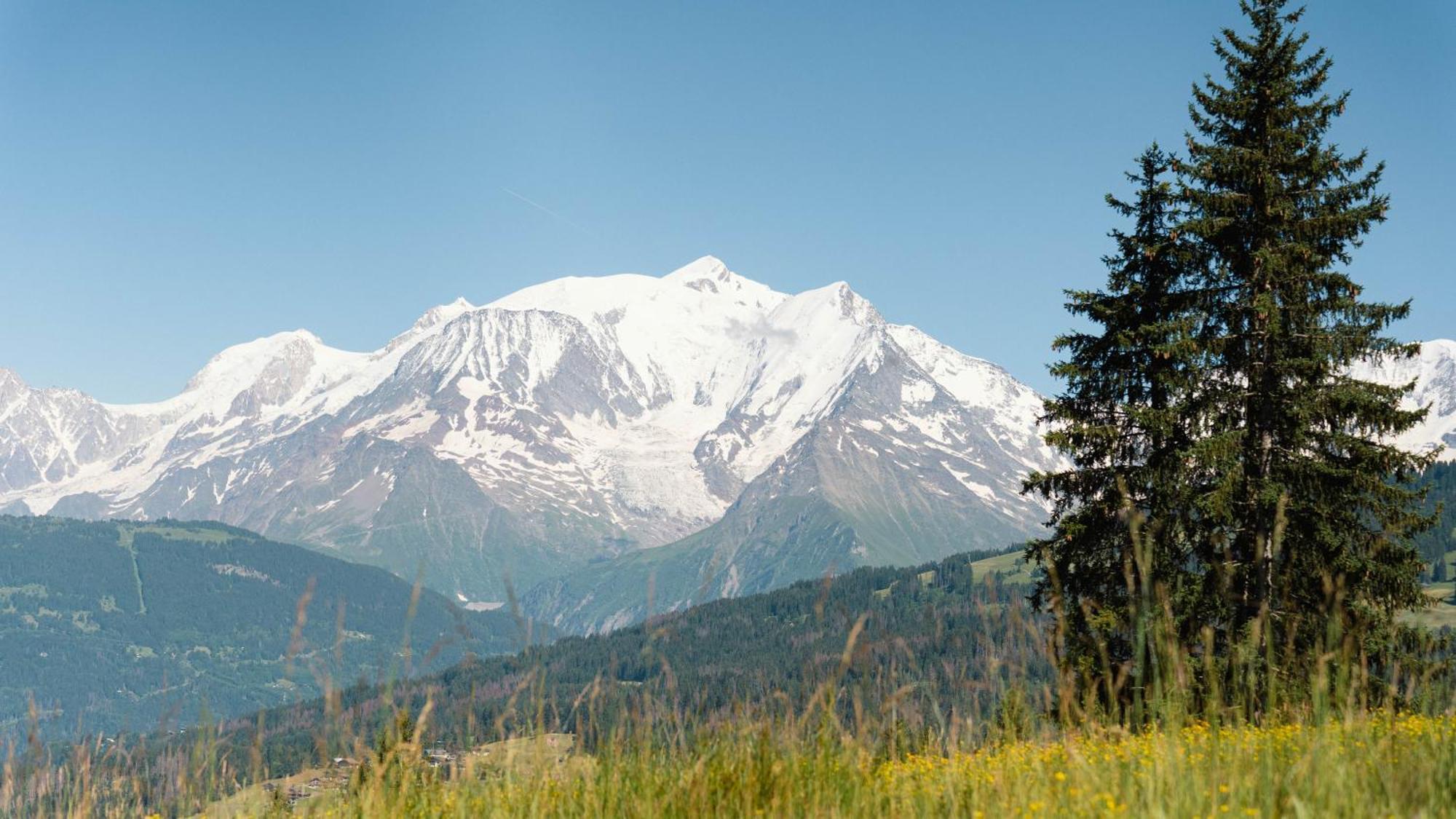 Chalet Alpen Valley, Mont-Blanc Combloux Exterior foto